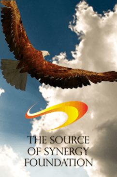 Source of Synergy Foundation